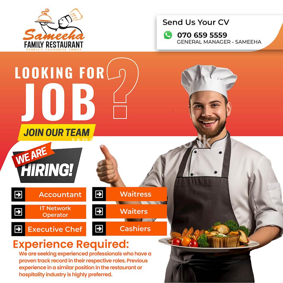 Accountant /IT Network Operator/ Executive Chef/ Waitress/ Waiters/ Cashiers