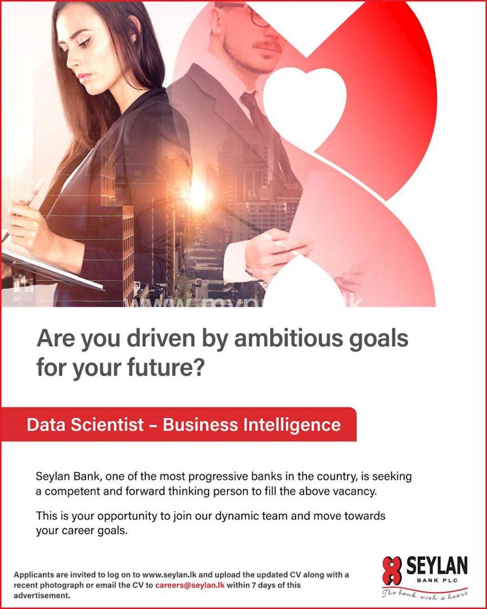 Data Scientist - Business Intelligence