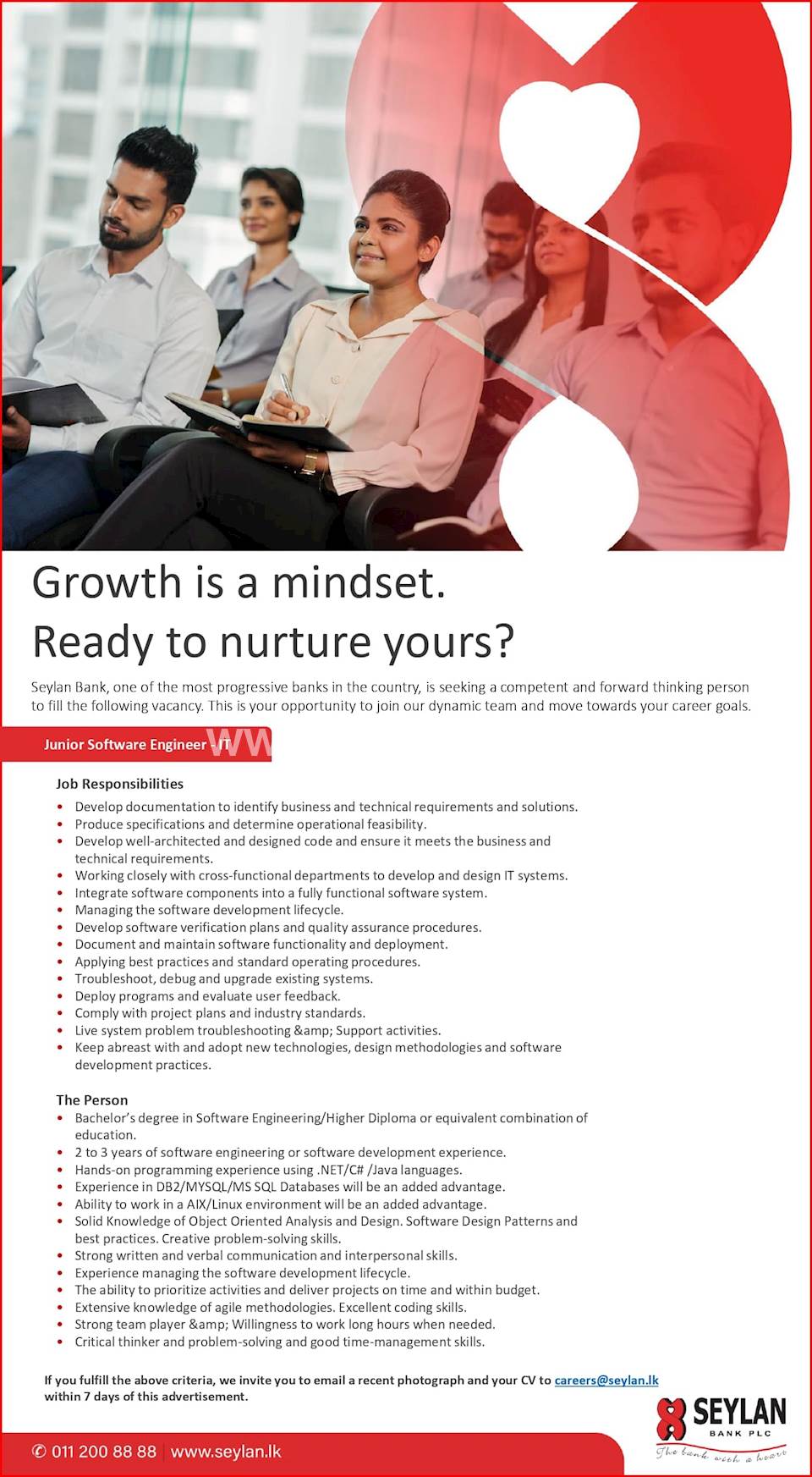 Junior Software Engineer - IT