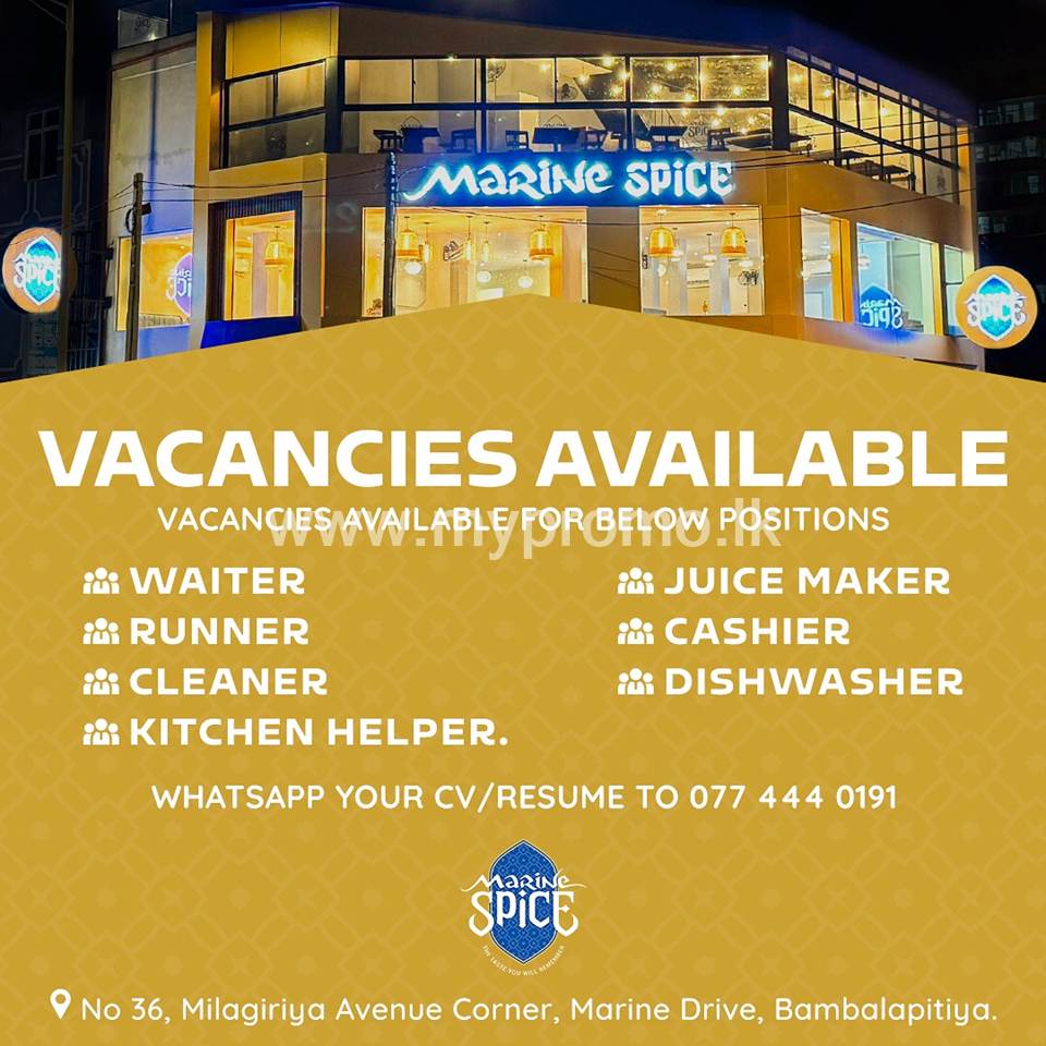 Waiter/ Juice maker / Runner /Cashier / Cleaner / Dishwasher /Kitchen