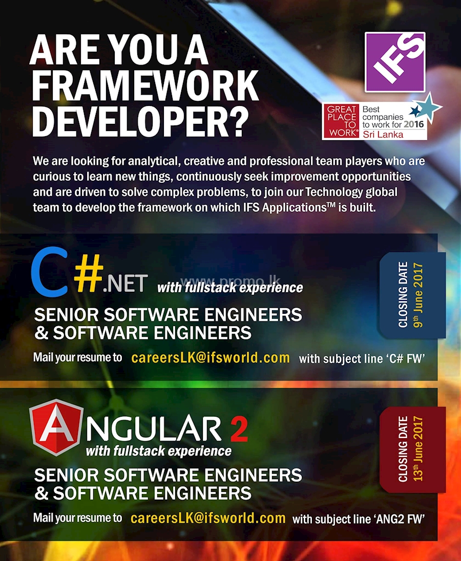 FRAMEWORK DEVELOPER