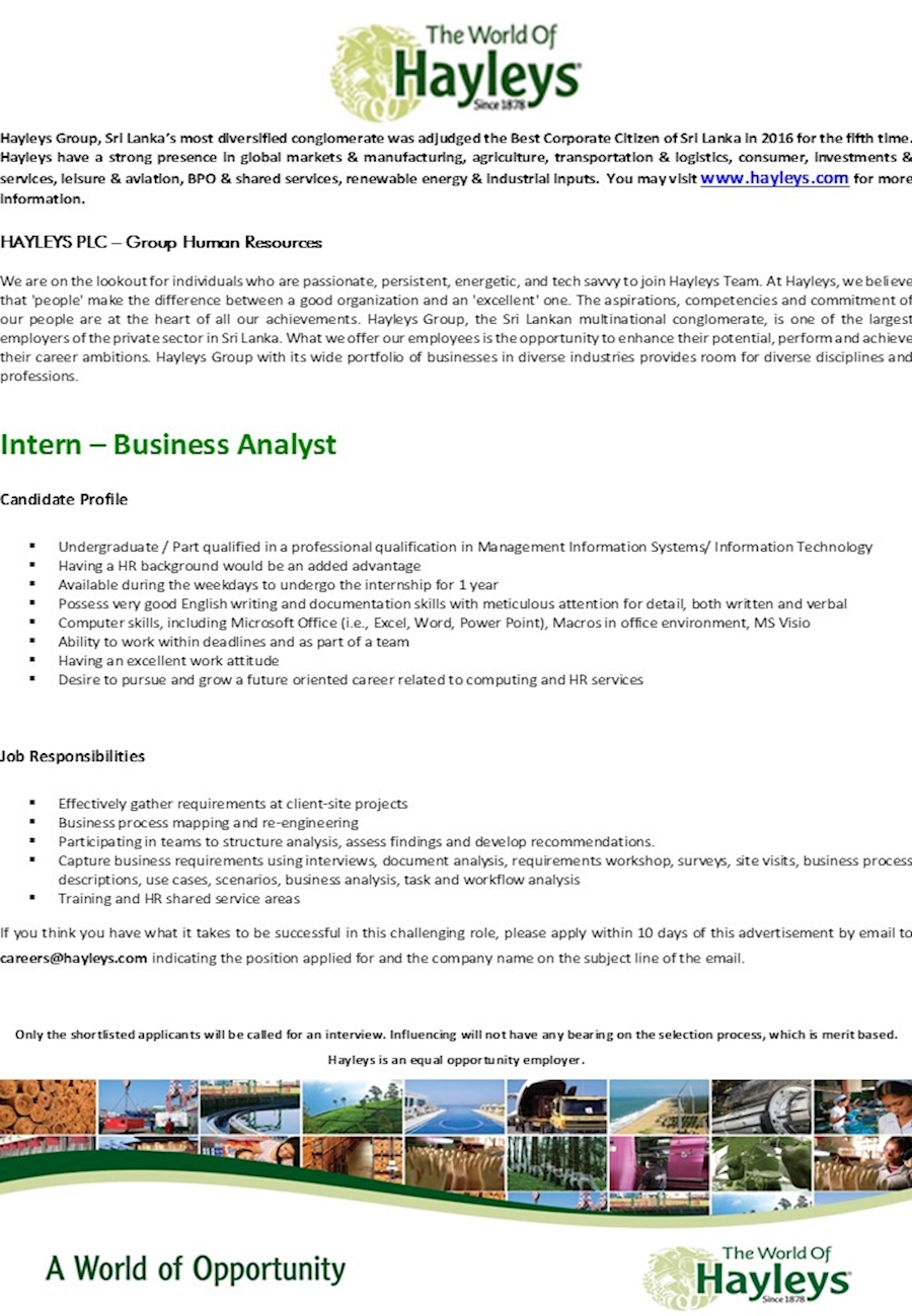 Intern - Business Analyst 