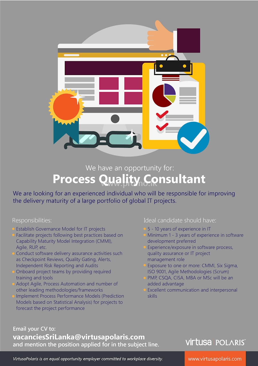 PROCESS QUALITY CONSULTANT 