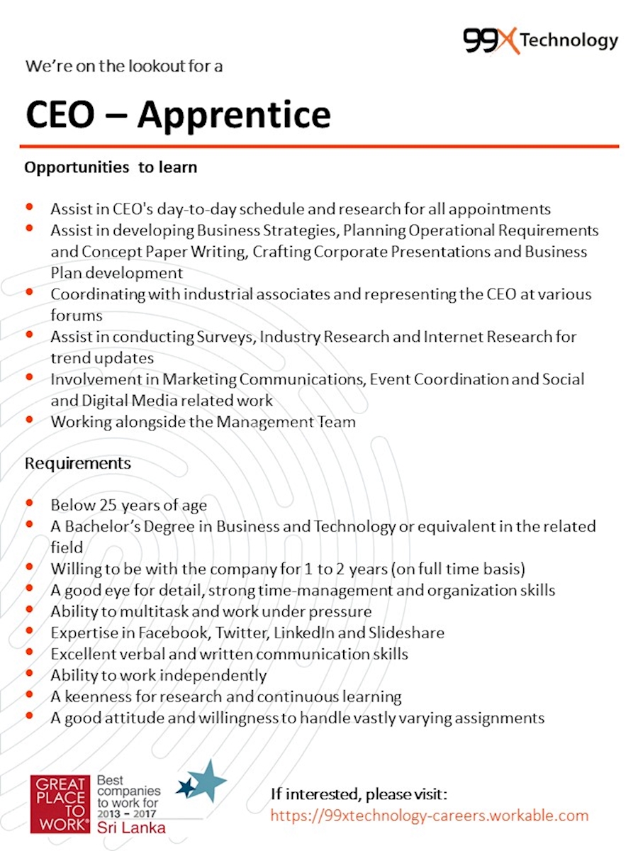 CEO - Apprentice