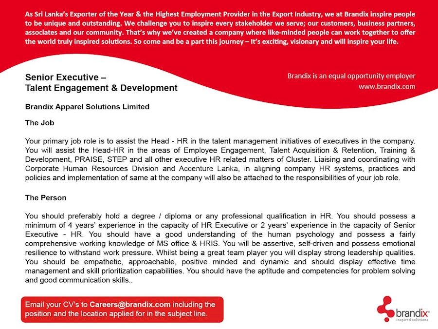 Senior Executive-Talent Engagement and Development 