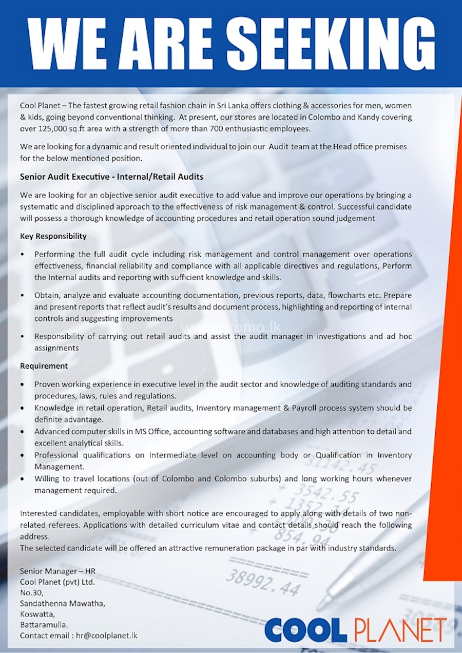 Senior Audit Executive - Internal/Retail Audits 