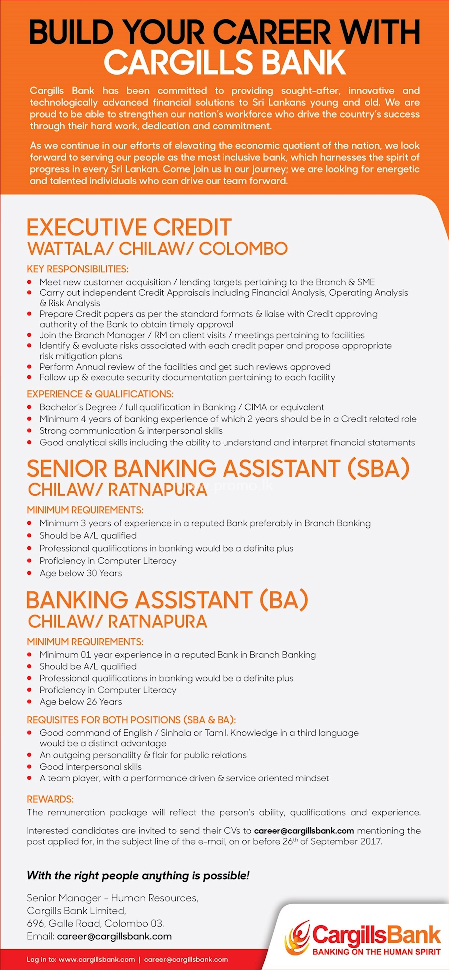 Executive Credit & Senior Banking Assistant / Banking Assistant 