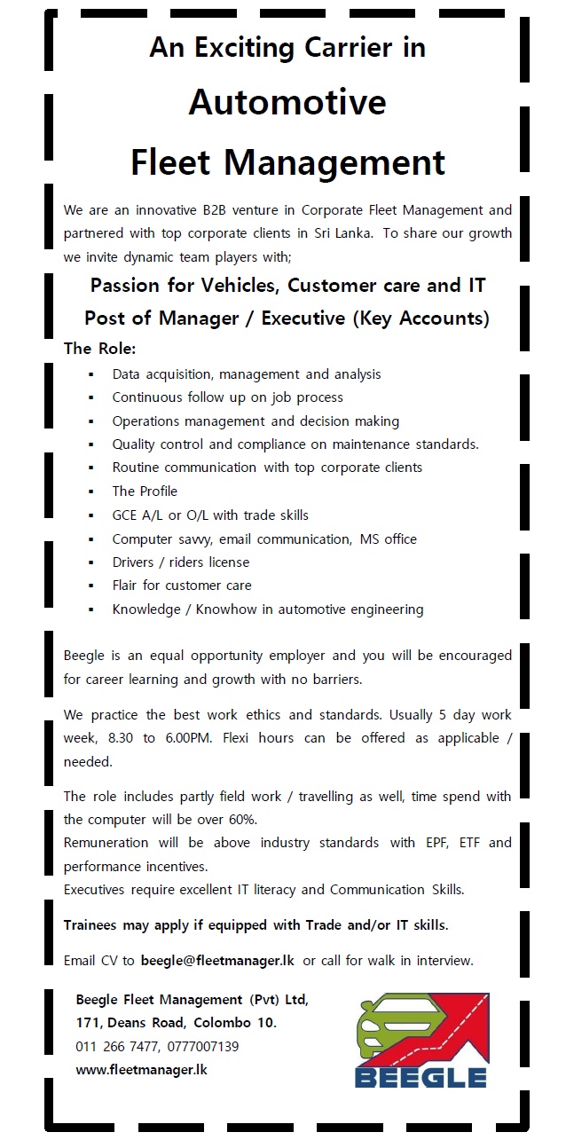 Vacancy for Manager or Executive at Beegle Fleet Management Pvt Ltd