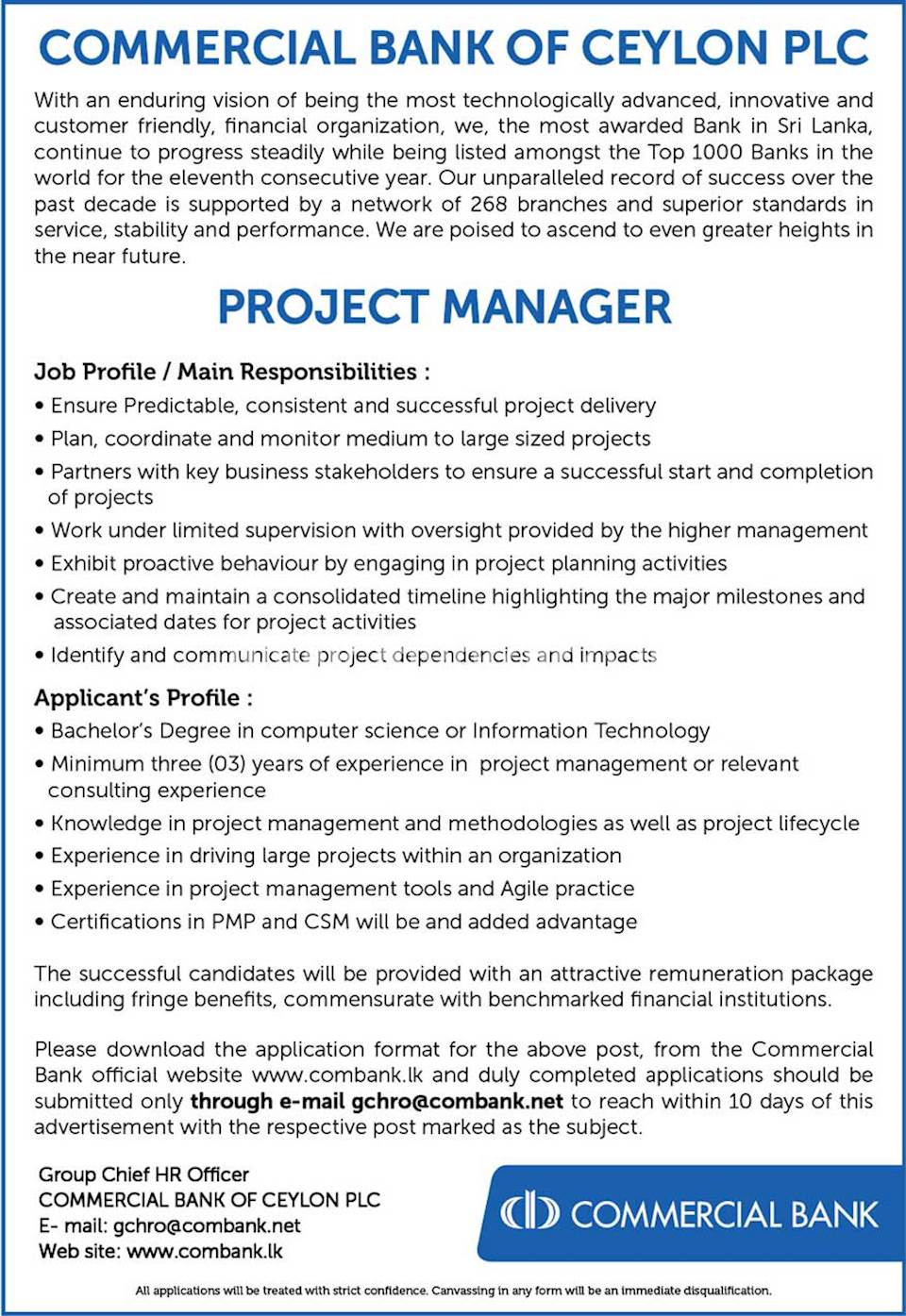 Project Manager