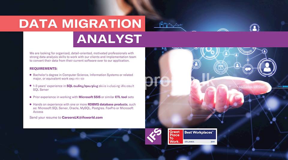 Data Migration Analyst