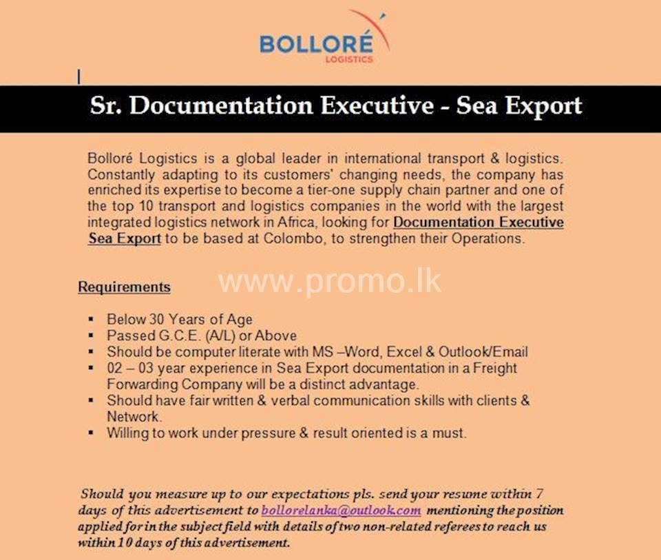 Sr. Documentation Executive - Sea Export