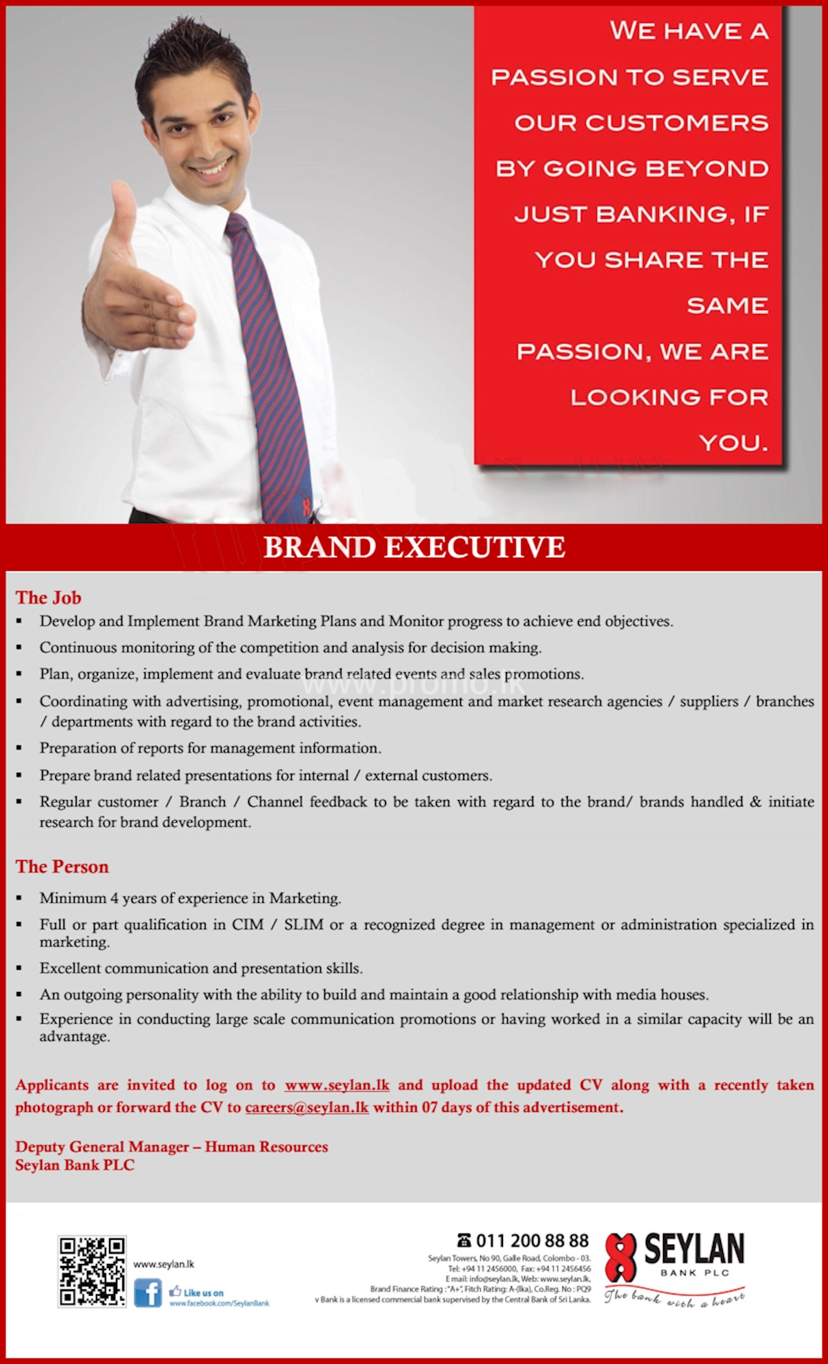 Brand Executive 