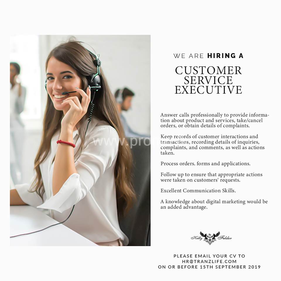 Customer Service Executive