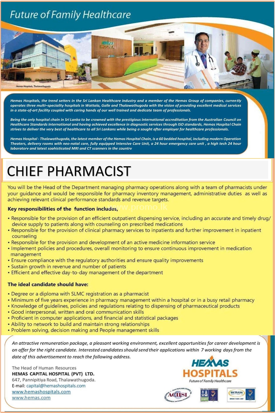 Chief Pharmacist