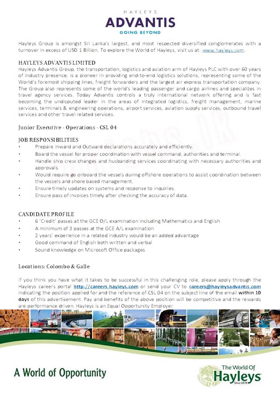 Junior Executive - Operations - CSL 04