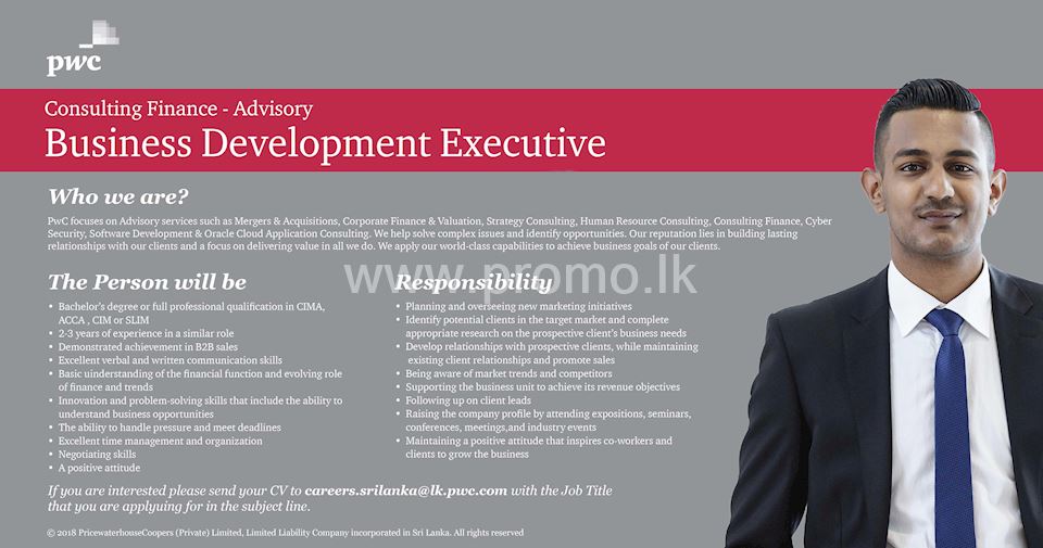 Business Development Executive