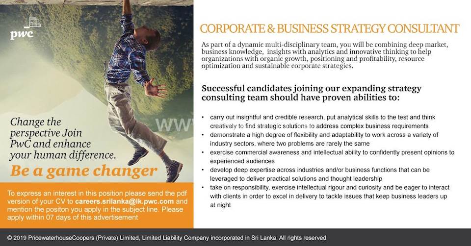 Corporate & Business Strategy Consultant