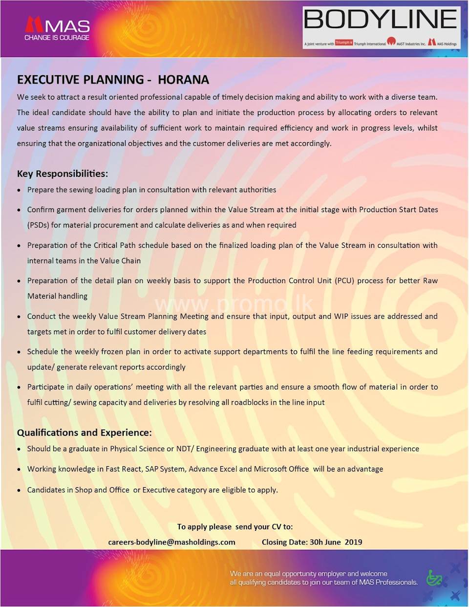 Executive Planning - Horana