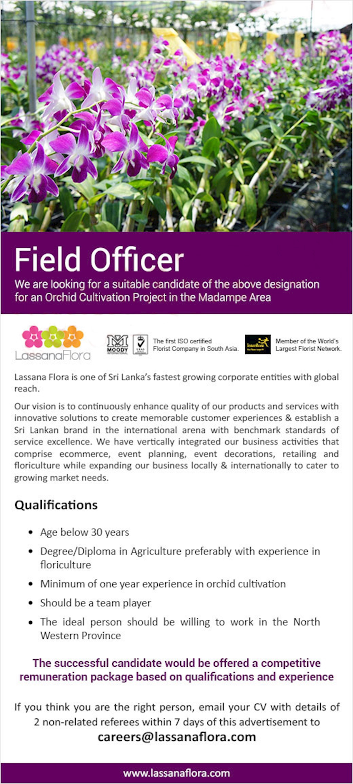 Field Officer