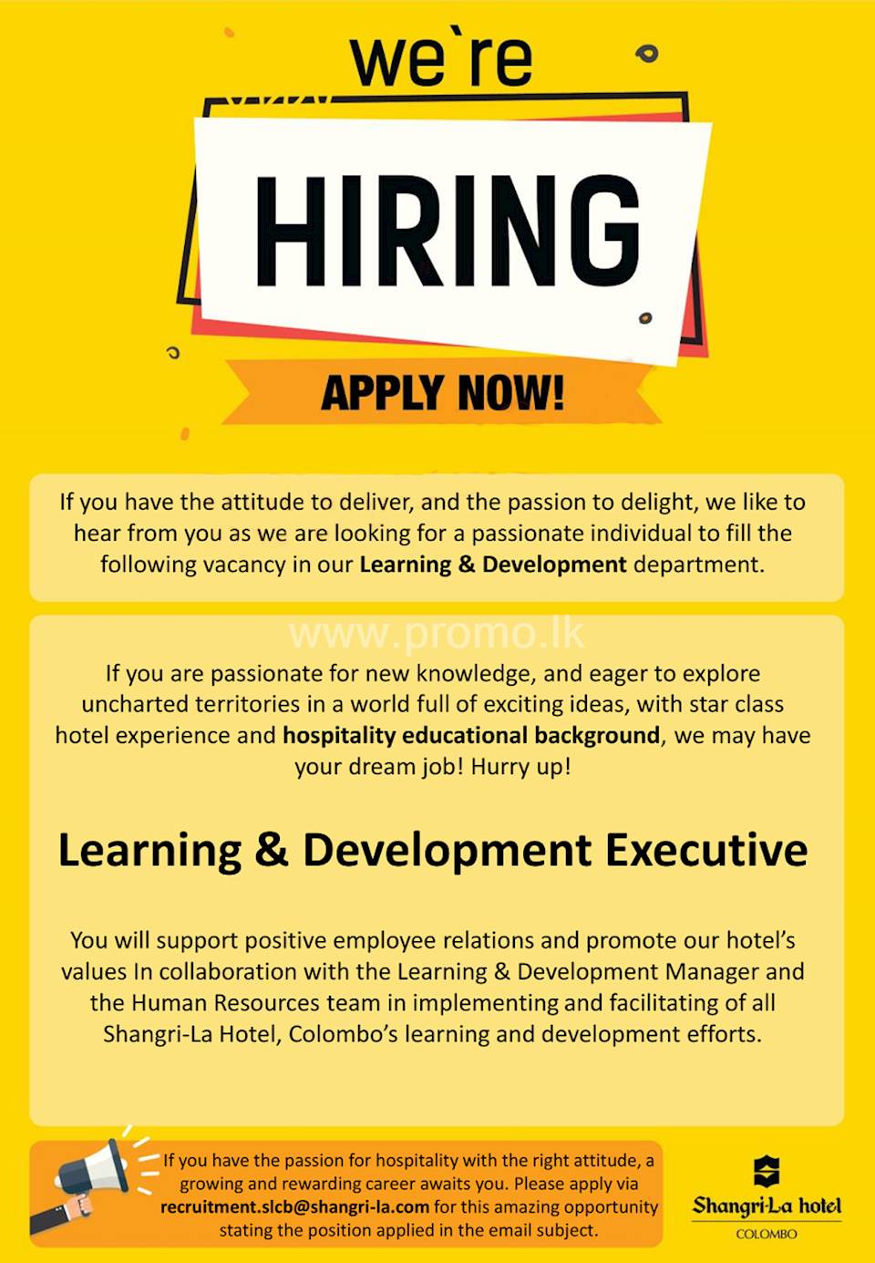 Learning and Development Executive