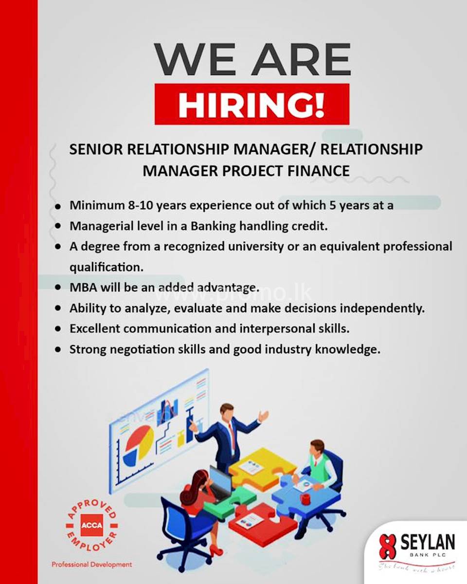 Senior Relationship Manager / Relationship Manager Project Finance