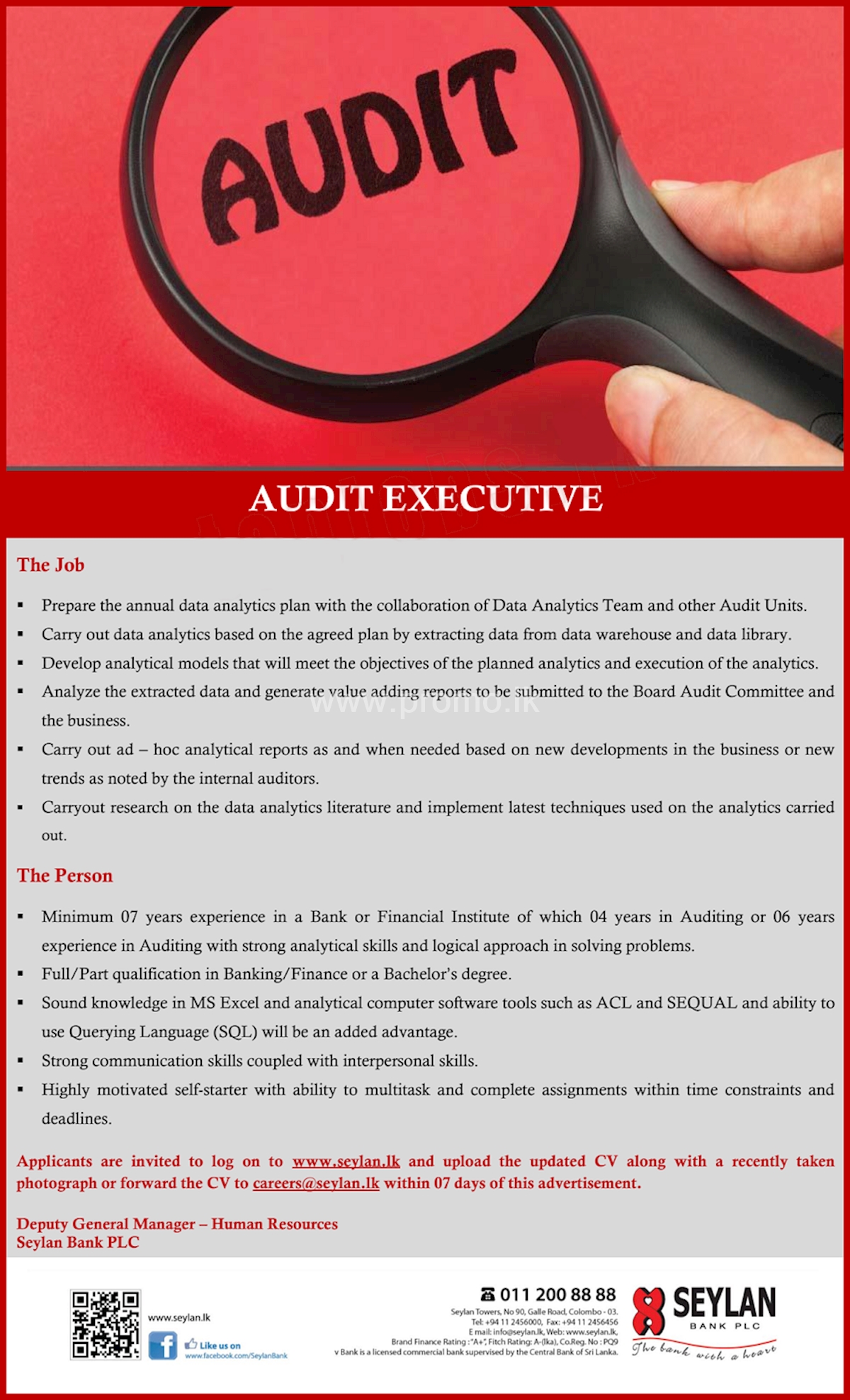 Audit Executive 