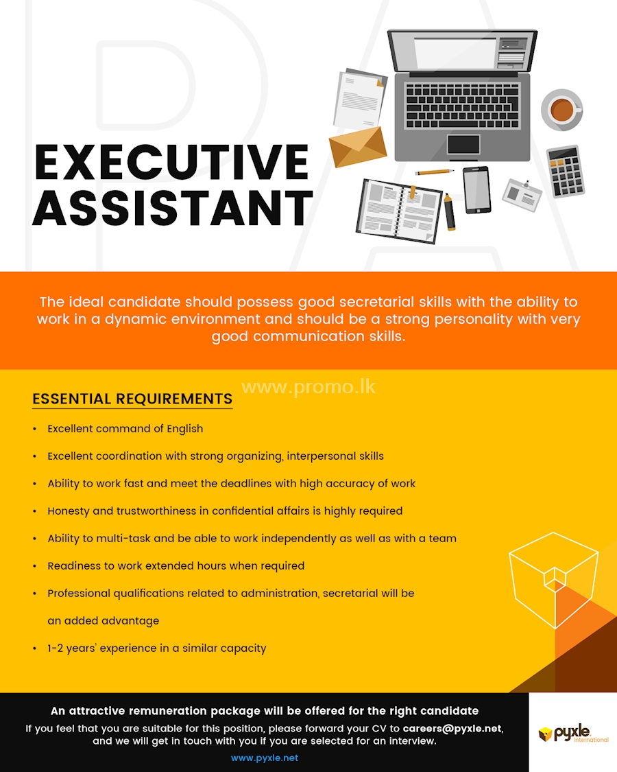 Executive Assistant