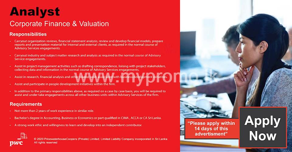 Analyst - Corporate Finance & Valuation 