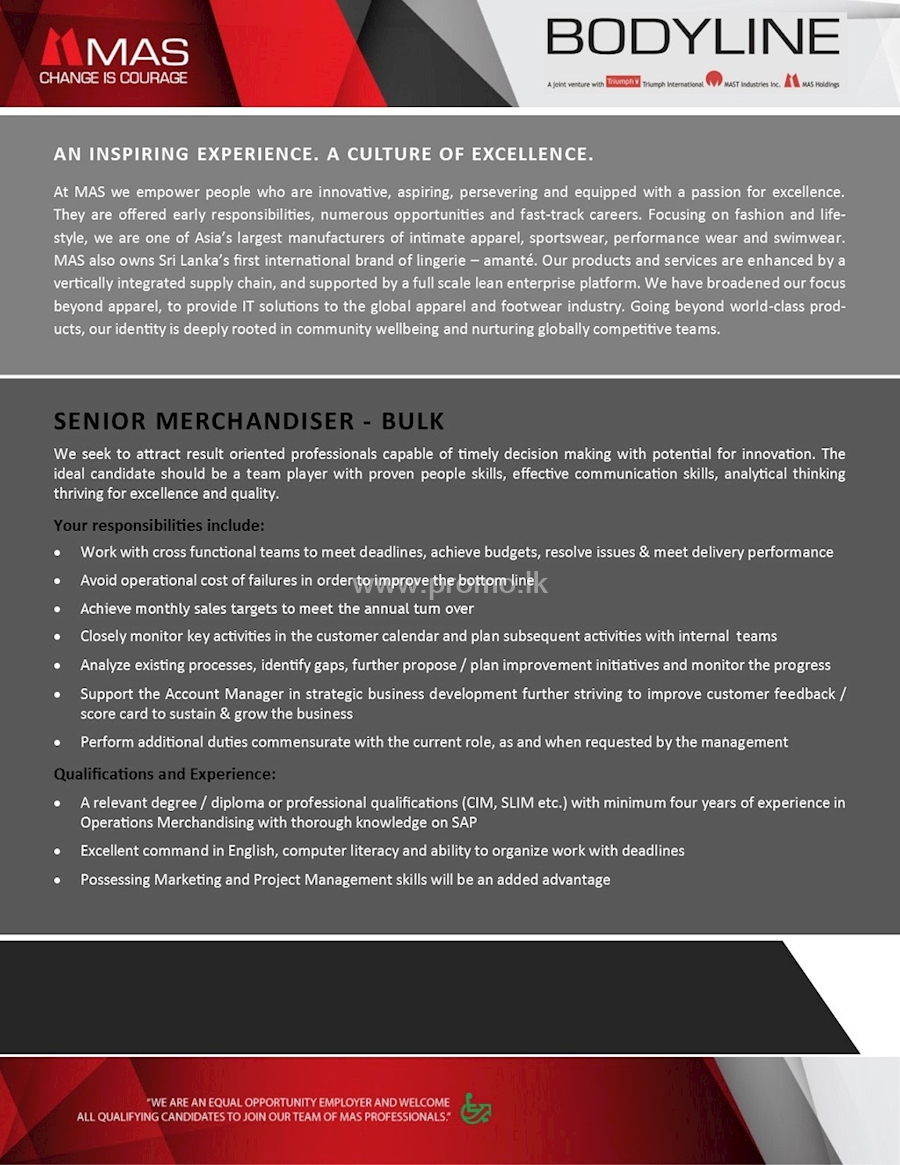 Senior Merchandiser - Bulk