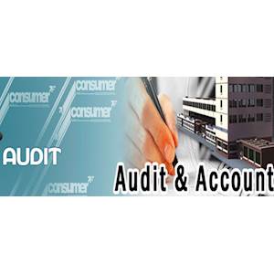 P.A. Accountants & Consultants