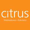 Citrus Waskaduwa