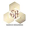 SLIDCO HOLDINGS PVT LTD