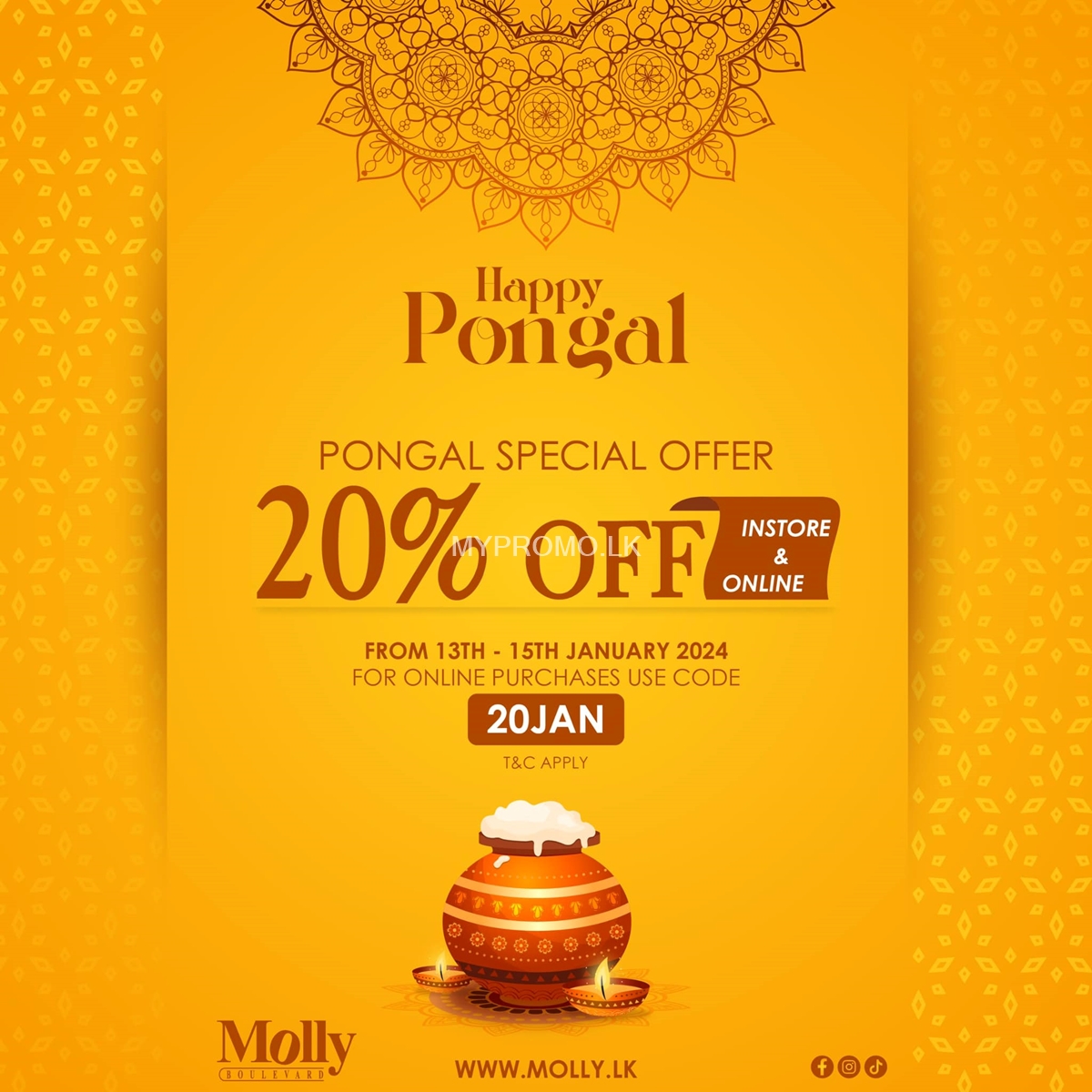 Thai Pongal Special Offer - Get 20% at Molly Boulevard