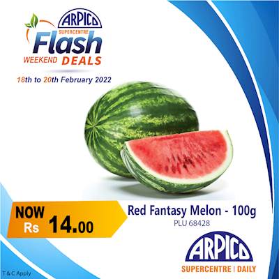 Red Fantasy Melon 100g