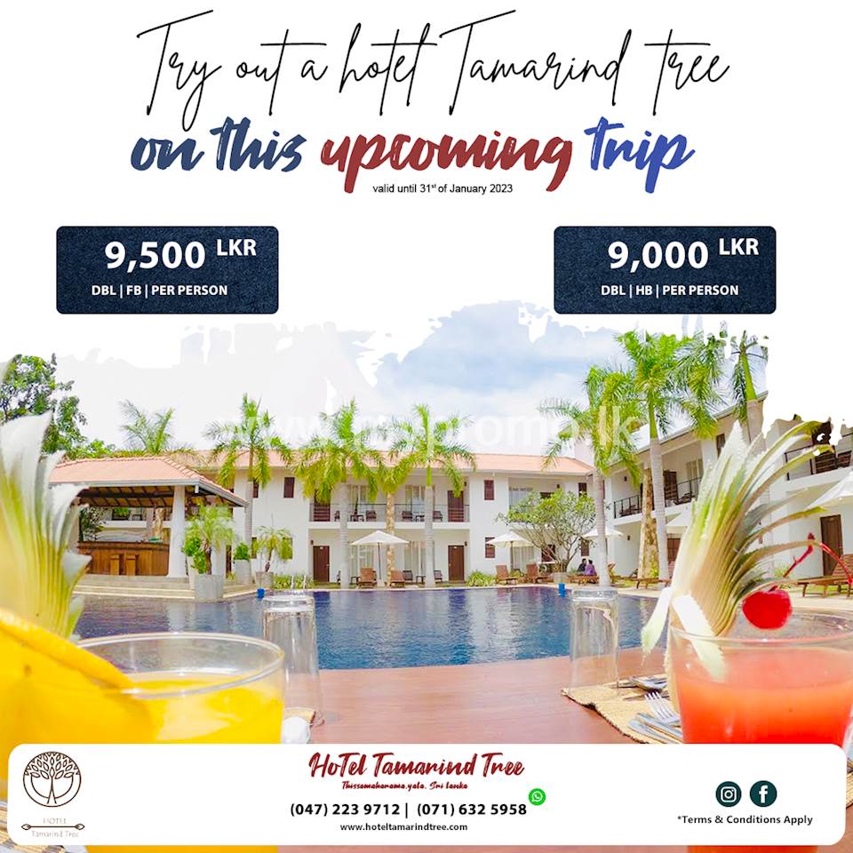 Try out a Hotel Tamarind Tree on this upcoming trip with your family