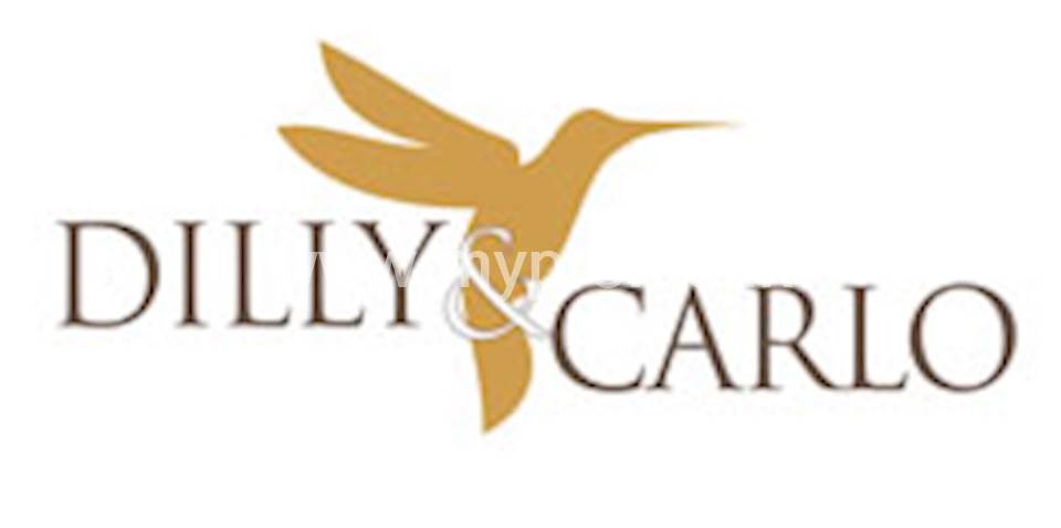 20% off at Dilly & Carlo for HNB Credit cards