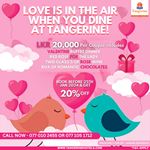 Book before 25th Jan 2024 & get 20% OFF at Tangerine Beach Hotel 