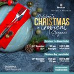 Christmas Day Buffets at Occidental Eden Beruwala