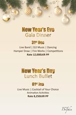 New Year's Eve Gala Dinner and New year's Day Lunch Buffet at Club Hotel Dolphin