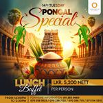 Thai pongal special at Mandarina Colombo