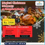 Magical Christmas Moments at Seagate's Hotel