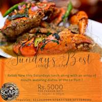 Sunday’s Special Lunch Buffet at Pledgecape