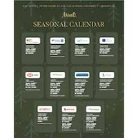 Seasonal Offers for Bank Cards at Arienti