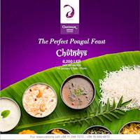 The Perfect Pongal Feast at Cinnamon Grand