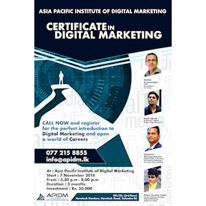 Certificate in Digital Marketing at APIDM