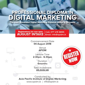 Professional Diploma in Digital Marketing at APIDM
