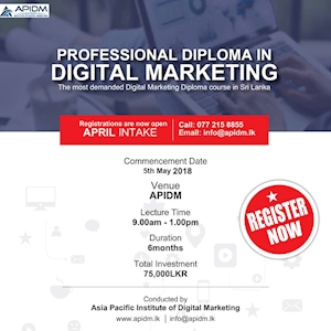 Professional Diploma In Digital Marketing at APIDM